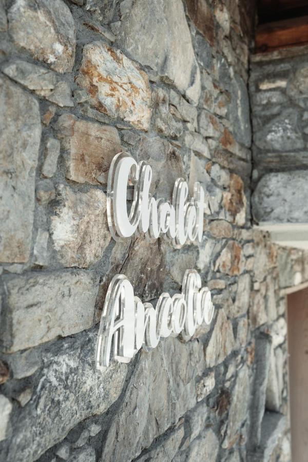 Chalet Ancolie 蒂涅 外观 照片